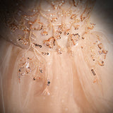 Cute A-line Shiny Tulle with Lace Off Shoulder Party Dress, Long Floor Length Prom Dress