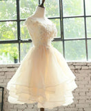 Light Champagne Organza with Lace Short Party Dress, Cute Champagne Homecoming Dress