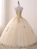 Ball Gown Light Champagne with Gold Lace Sweet 16 Dress, Tulle Long Prom Dress